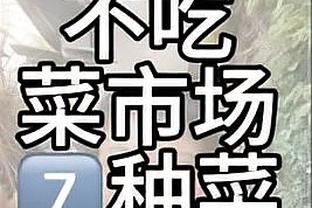 内文：蓝军与两年前完全不同，买一大堆无英超经验的球员很疯狂